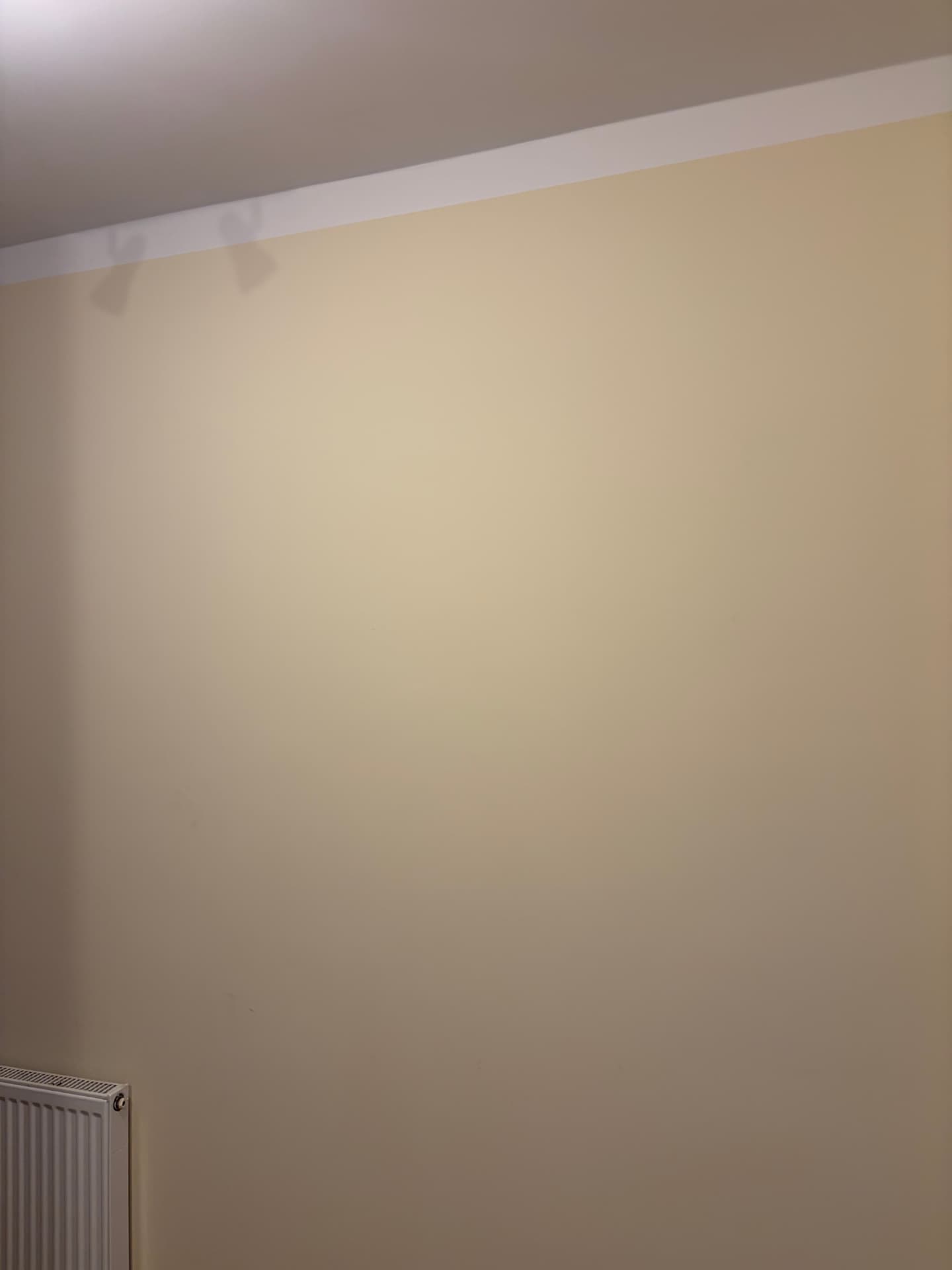 Pomalowana ściana w ciepłym beżu — realizacja Masterwalls